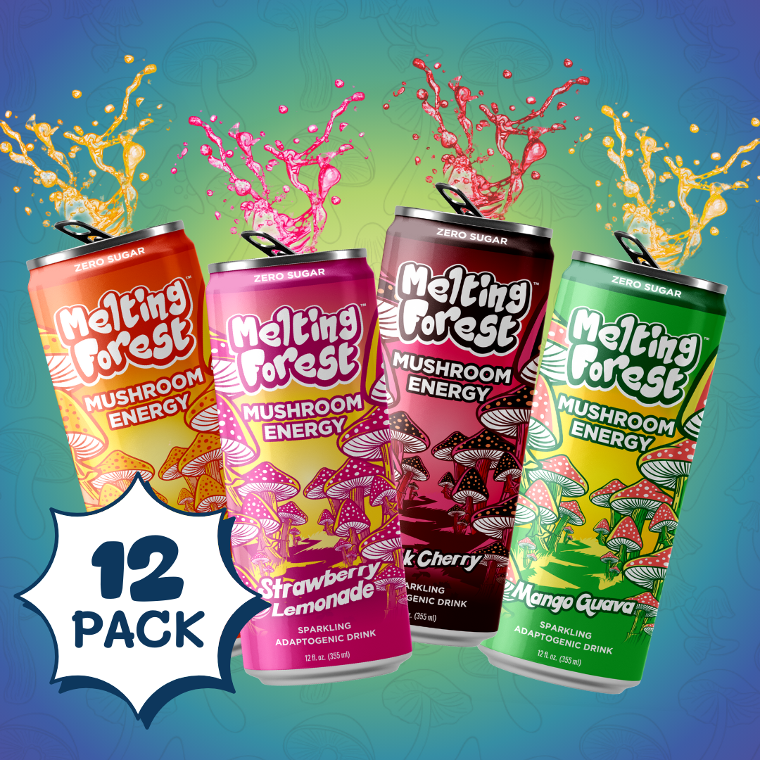 Melting Forest - Wholesale Sports/Energy Drink - Mushroom Energy Drink |  Variety Pack | Adaptogen 5