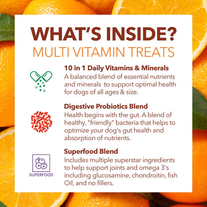 Petpal - Wholesale Pet supplement – Dog - Multi Vitamin Soft Chew Treats for Dogs - Pet Supplement 1