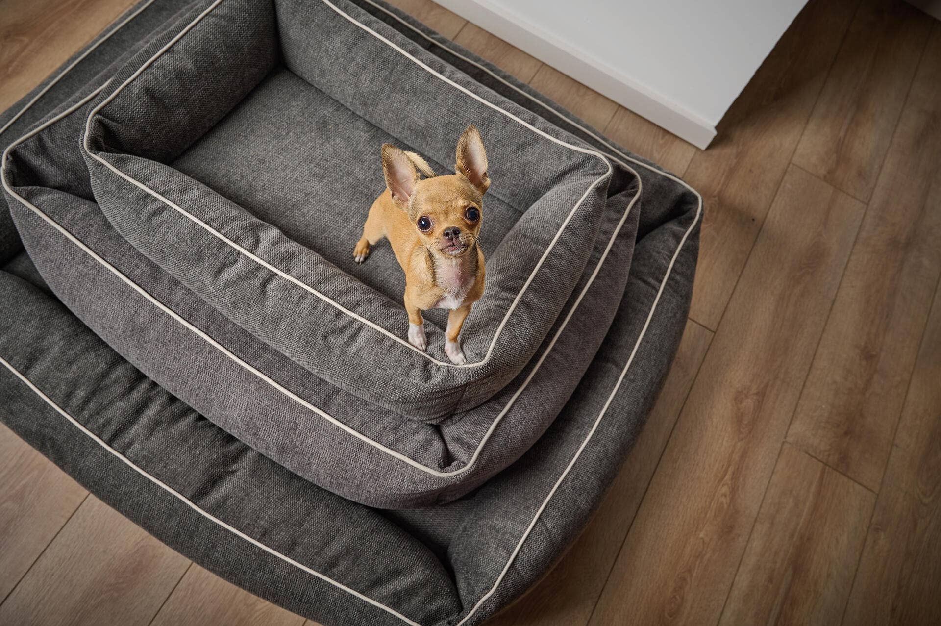 LABONI - Volentis GmbH – wholesale Pet bed – Dog – DOGGY DOG2