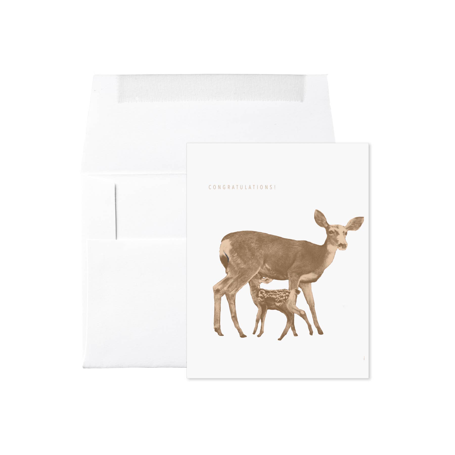 Embued Photophiles – wholesale Congratulations card – Doe Congratulations Card2