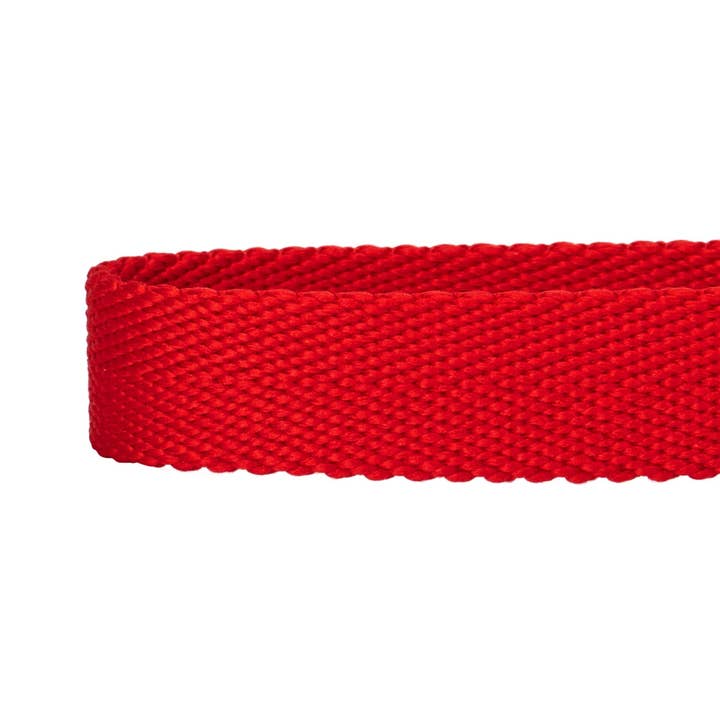 Blueberry Pet - Wholesale Pet collar – Dog - Best-Seller Double D-Ring Dog Collar -Must-Have for All Dogs3