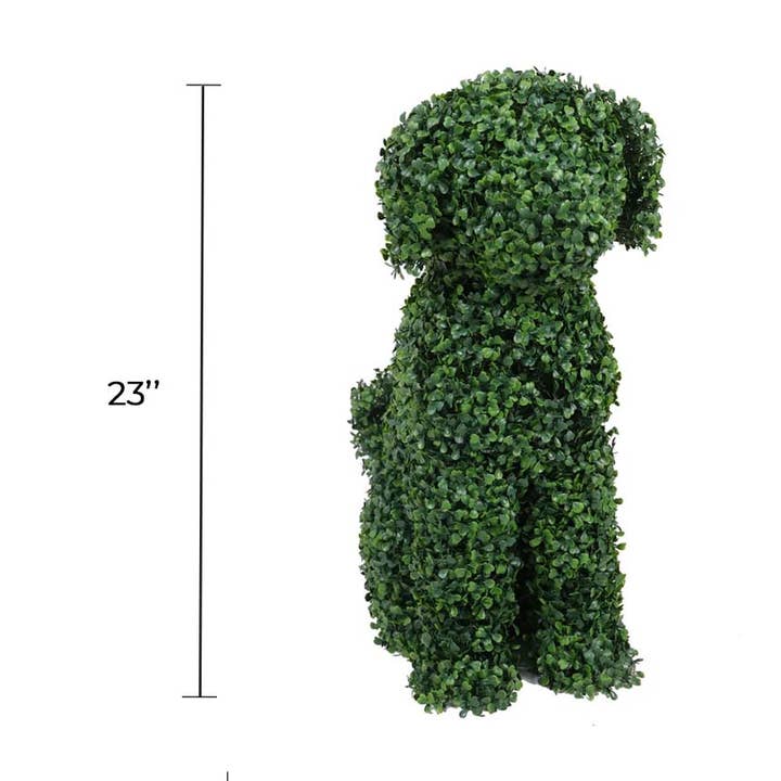 Topiary Boxwood Dog (Medium) - Indoor and Outdoor Suitable for wholesale by Designer Plants