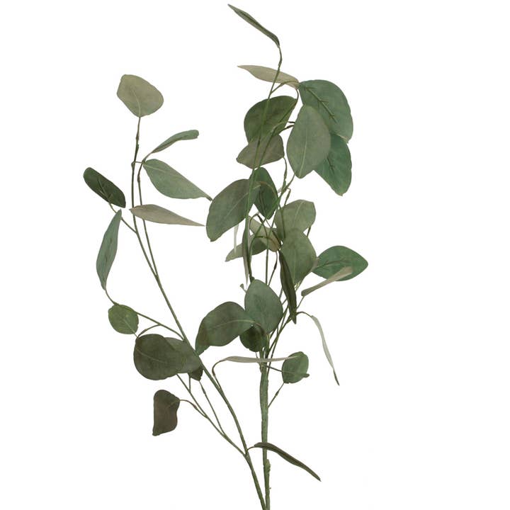 Eucalyptus 88 cm x 11 green for wholesale by Floratexx