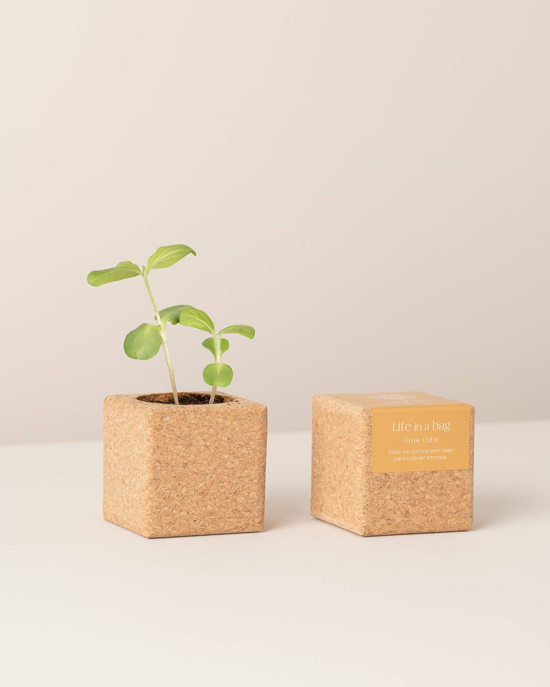 Life in a bag - Wholesale Plant Pot - Grow Cube Sunflower0