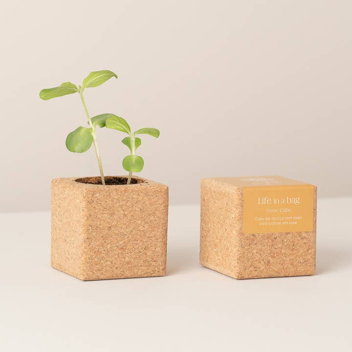 Life in a bag - Wholesale Plant Pot - Grow Cube Sunflower0