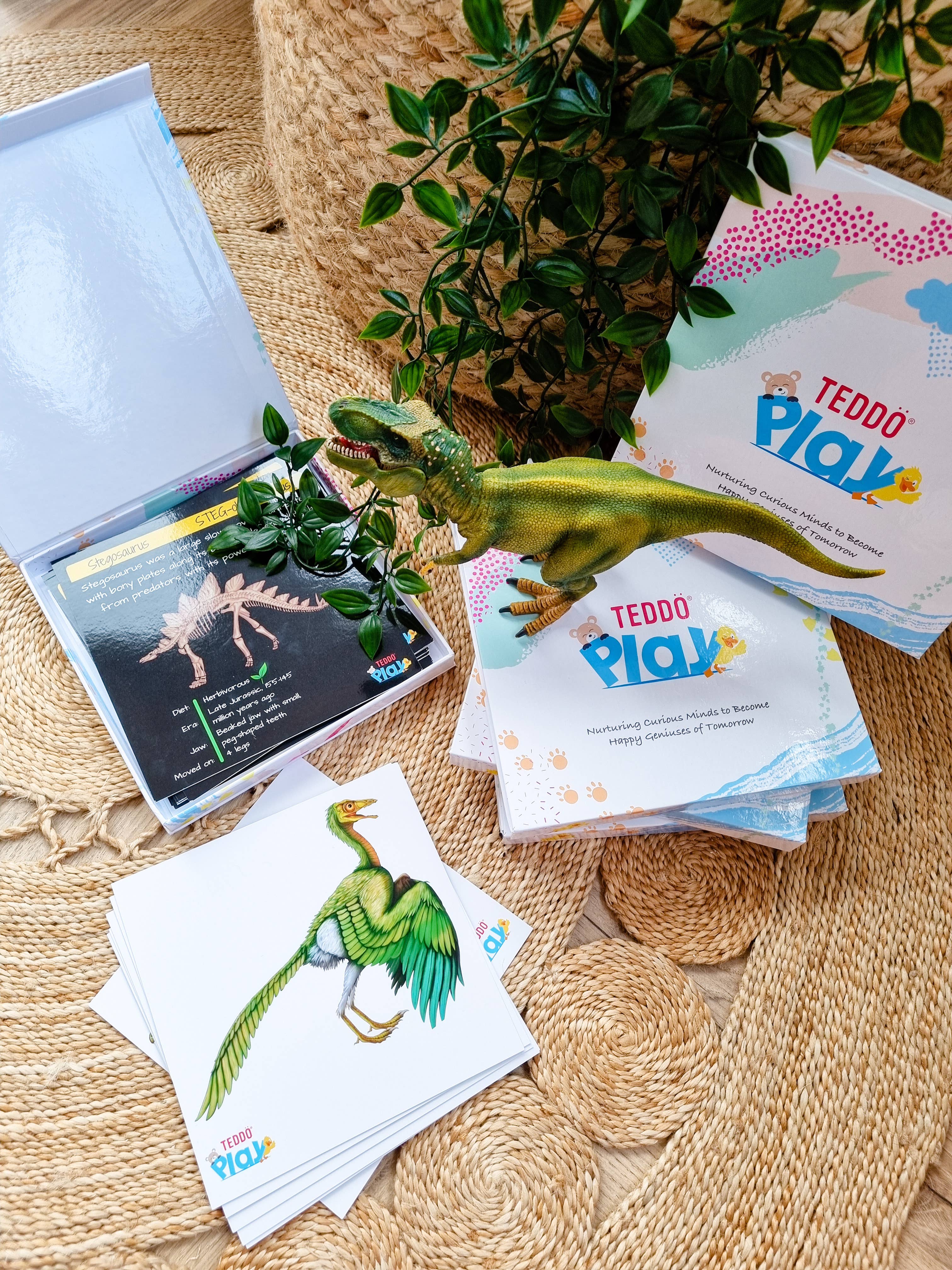 Teddo Play – Großhandel Lernkarten – Kind & Baby – Multi-Bundle mit 13 Lernsets Lernspiele für Kinder13