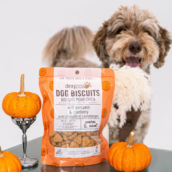 dexypaws - Wholesale Hondenkoekjes - Hond - Pompoen hond traktaties