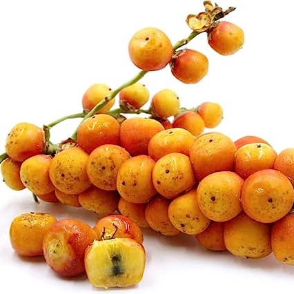 YERBERO - Wholesale Loose Tea - Yerbero - Tejocote Root | Hawthorn Chips 3.5oz (100gr) Herbal Tea (Raiz De Tejocote/Corteza Tea)1