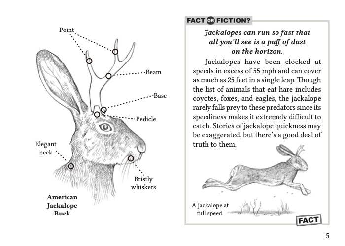 Farcountry Press - Wholesale Nature & Outdoors - Field Guide to the North American Jackalope Expanded Edition1