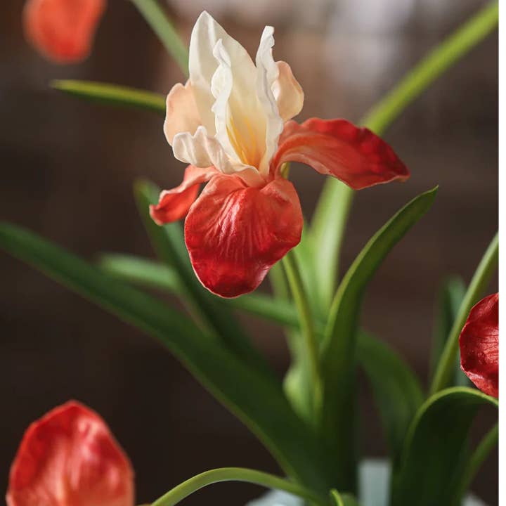 Rustic Reach - Wholesale Artificial Flowers - Silk Iris Flower 22" Tall