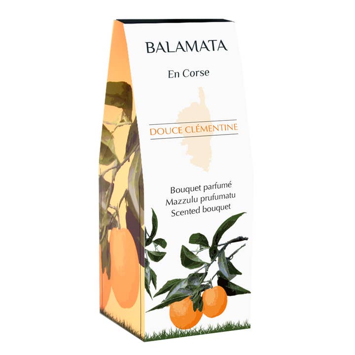 BALAMATA - Wholesale Reed diffuser - Sweet Clementine - Fragrant Bouquet 100ml - In Corsica3