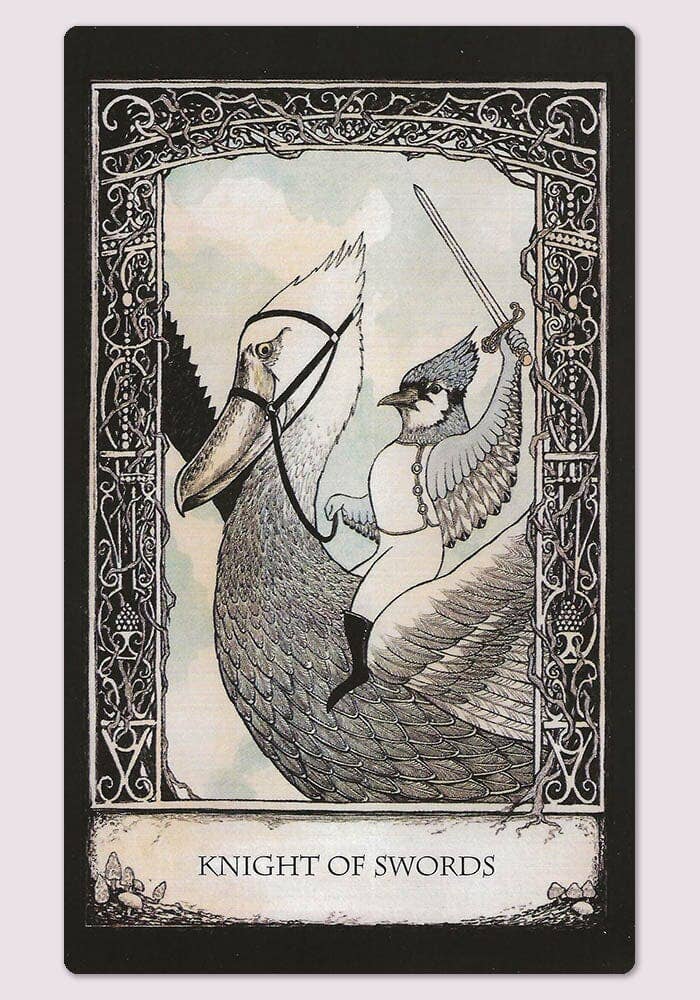 Cardshouse – Cartas de tarô por atacado – Conjunto de Baralho e Livro Tarot of Tales - Cardshouse9