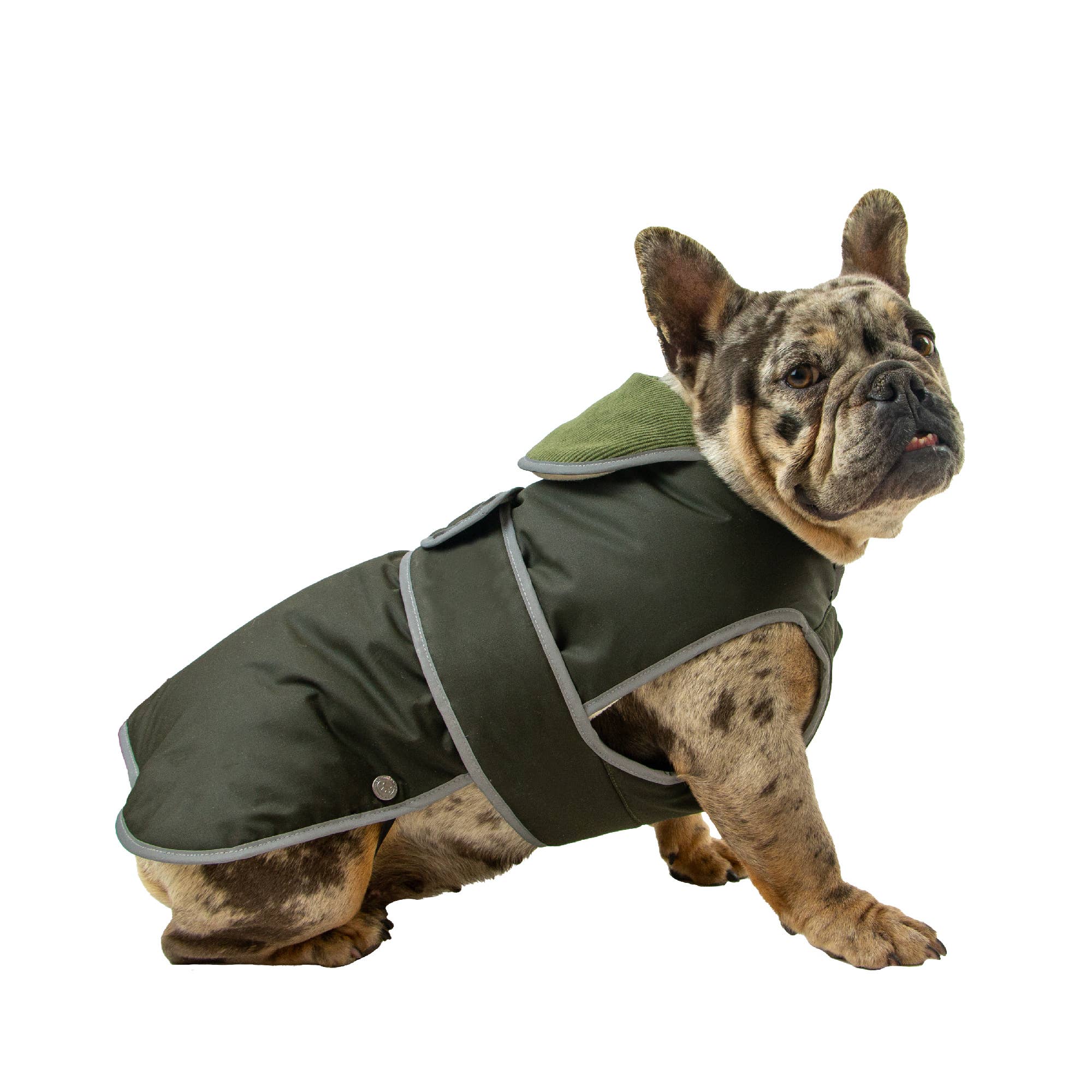 Ancol Pet Products Ltd - Wholesale Pet Coat - Dog - Heritage Wax Cotton Dog Coat XS-XXL1