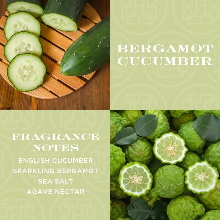 HomeWorx by Slatkin + Co. - Wholesale Hand & Body Lotion - Bergamot Cucumber 22 oz. Hand & Body Lotion