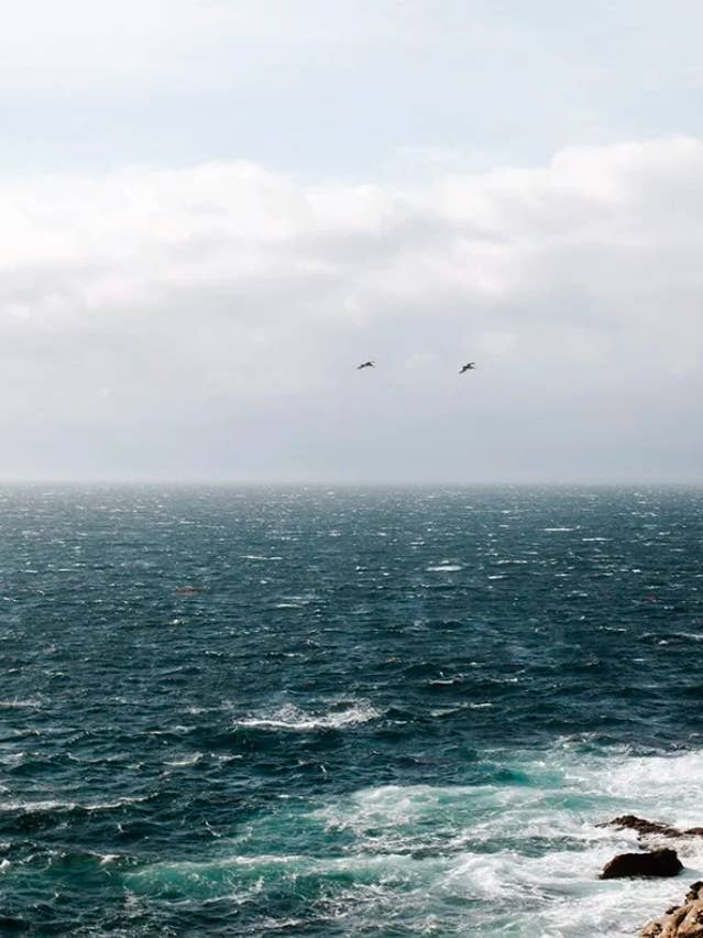 Kust nr 4 för wholesale av Wilder California