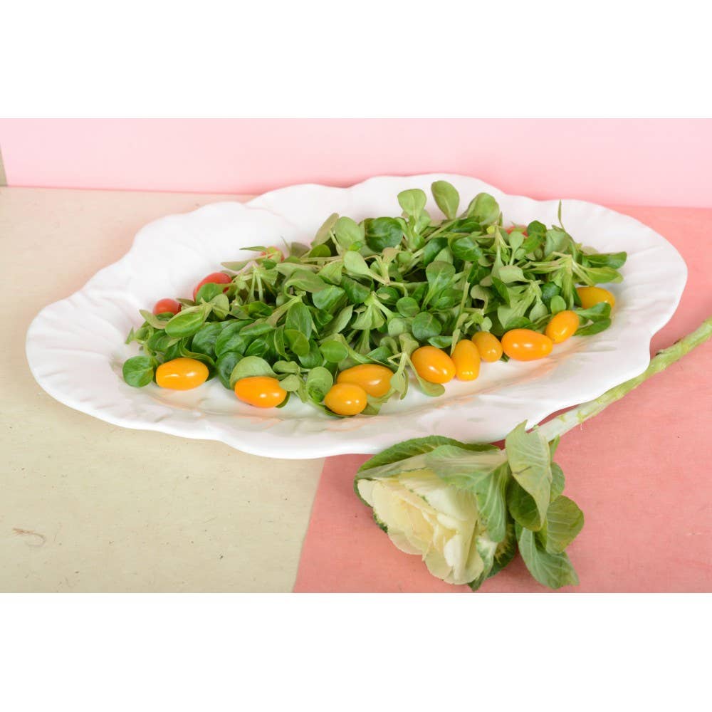 AULICA - Vente Plateaux de service - Plat ovale blanc en mélamine 50x40x2cm2