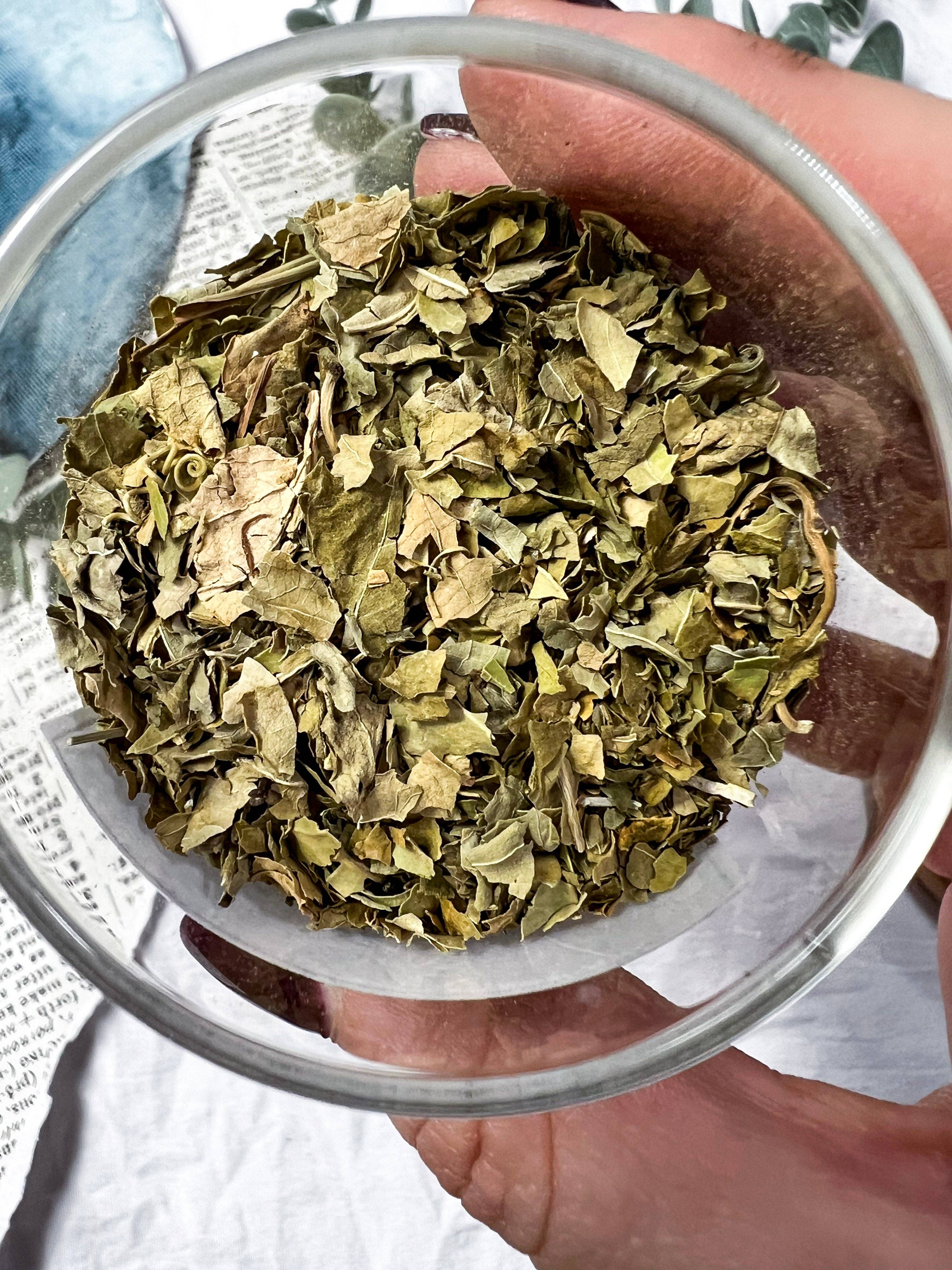 Moon Street Kits - Wholesale Herbs - Skullcap Herb for Calm, Protection & Energetic Recovery3