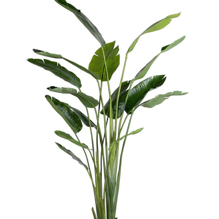 Replica Plants and Decor - Wholesale Artificial Plant - 6.5' Bird of Paradise FP14701