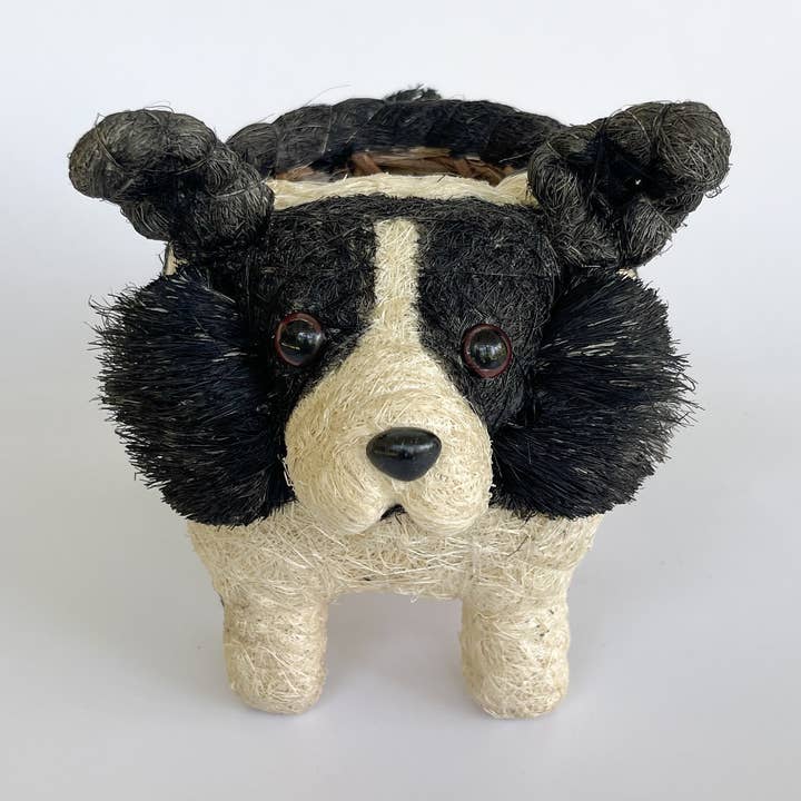 Border Collie por atacado de yumi