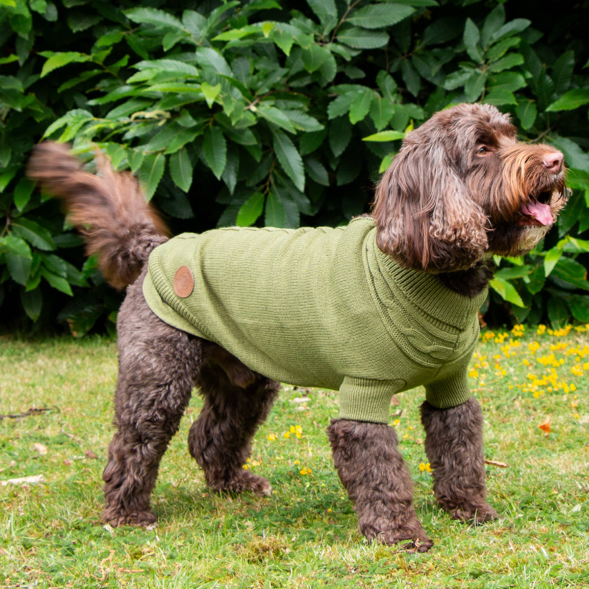 Ancol Pet Products Ltd – wholesale Pet jumper – Dog – Snug Cable Knit Jumper GREEN ( 4 sizes available) 4