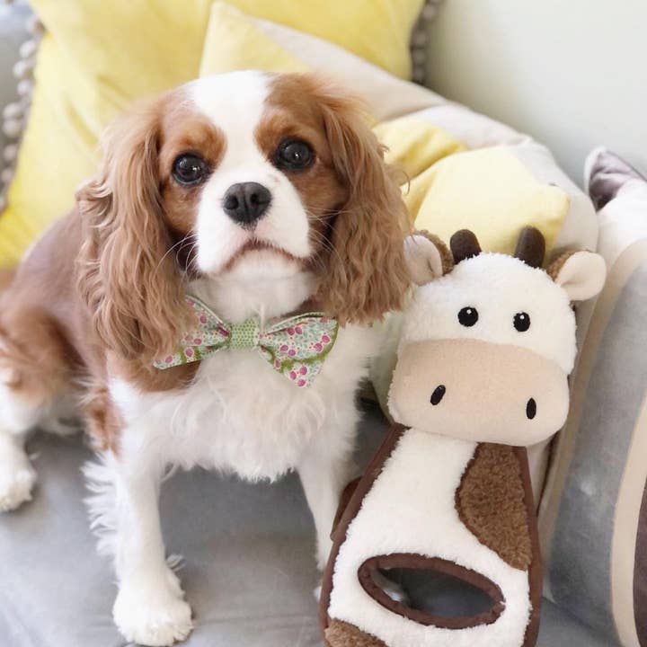 WufWuf - Wholesale Pet squeaky toy – Dog - WufWuf Cow Squeaky Plush Tug Dog Toy3