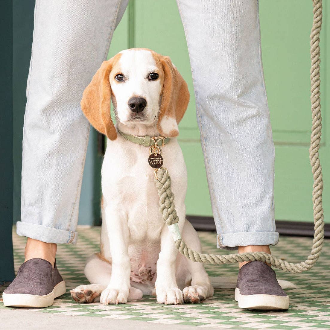 Neighborwoof – wholesale Halsband - Hund – Sage Hundhalsband1