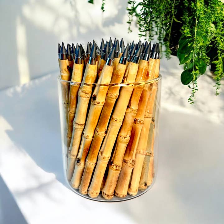Bamboo Switch - Wholesale Pencil - Never Ending Bamboo Pencil | Earth Day Bestseller