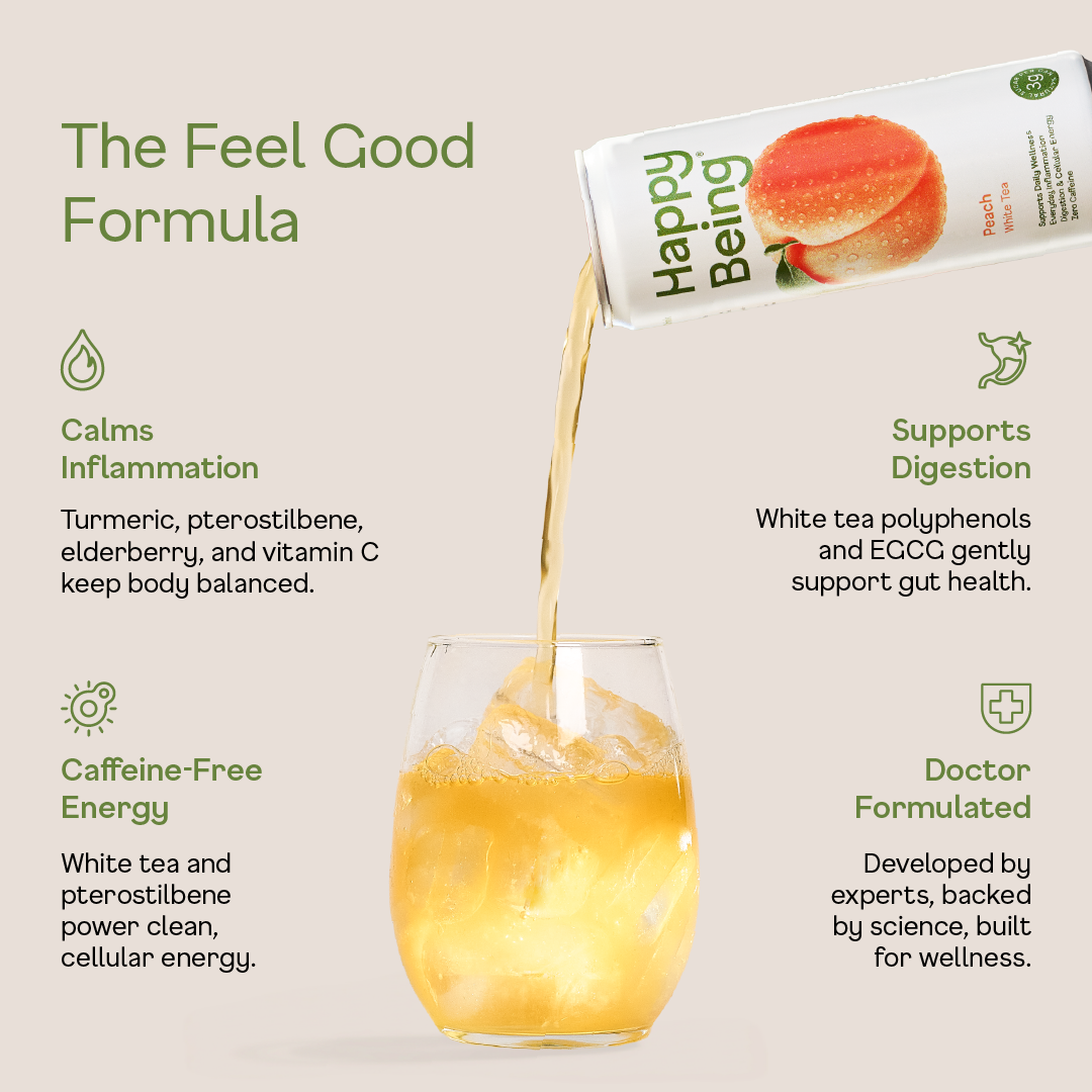 Happy Being - Vente Thé glacé - Pack de 16 pêches3