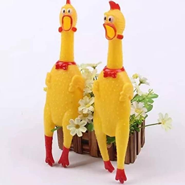 Tsyware - Wholesale Squishy Toy - Kids & Baby - Screaming Chicken Toy Rubber Squawking Chicken Big 12-inch 5
