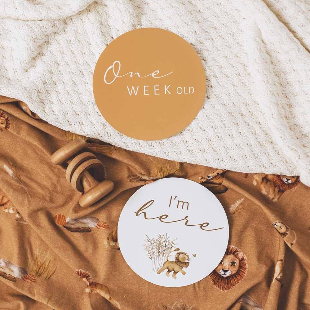 Snuggle Hunny - Wholesale Swaddle Set - Baby - Roar Baby Jersey Wrap & Beanie Set7