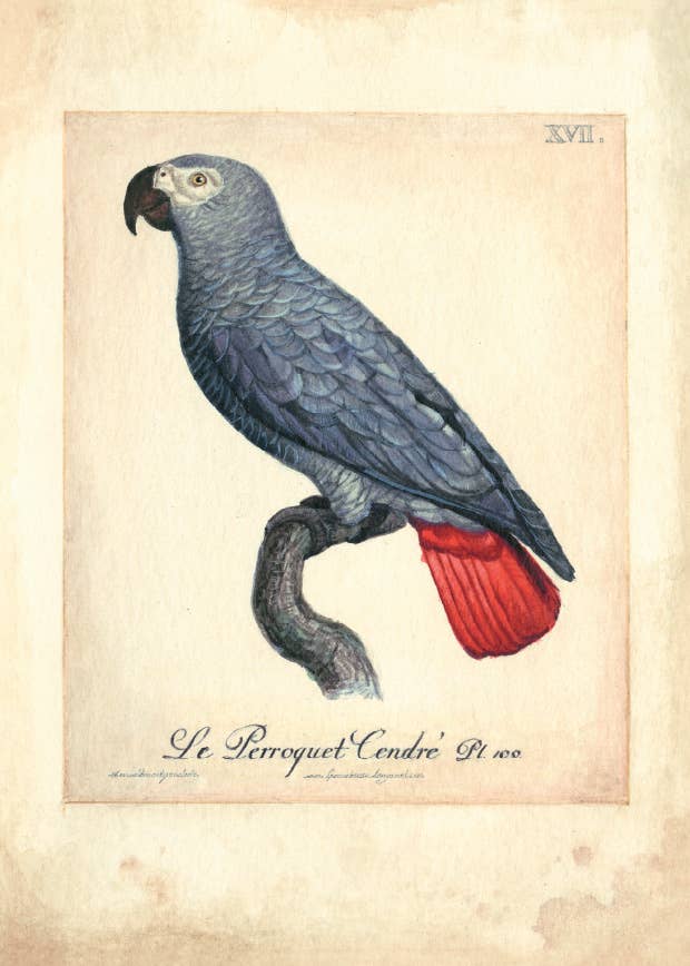 Bomo Art Budapest - Wholesale Everyday Greeting Card - Greeting Card + Envelope9