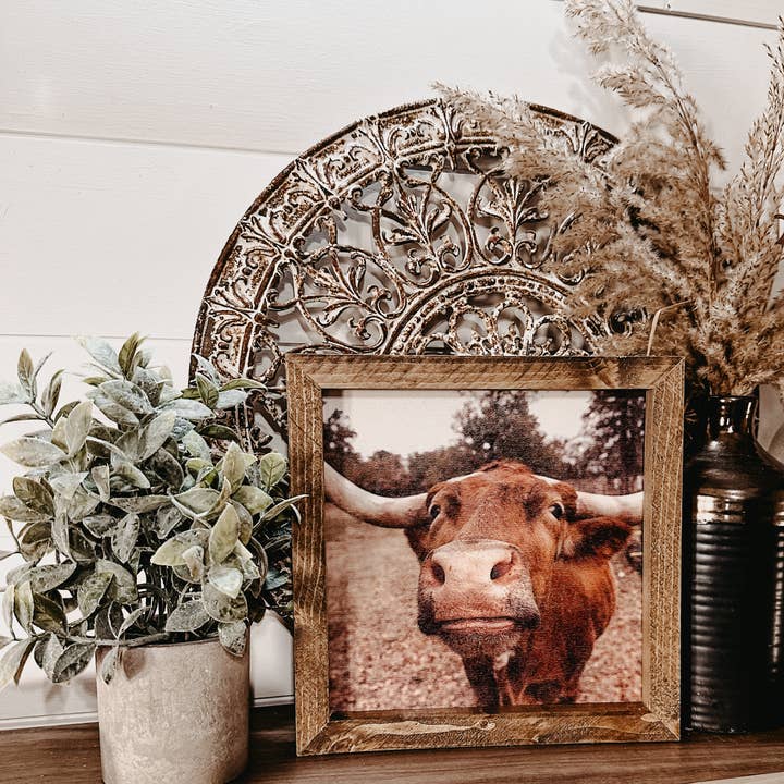 The Broken Board - Wholesale Photograph - Longhorn cow kisses