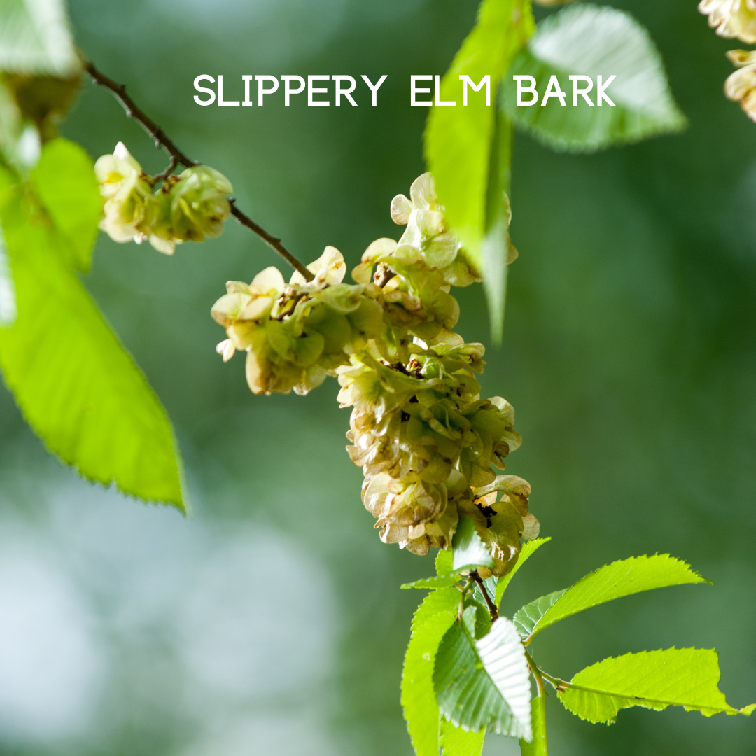 My Balance - Wholesale Oral Supplement/Vitamin - Colon Cleanse6