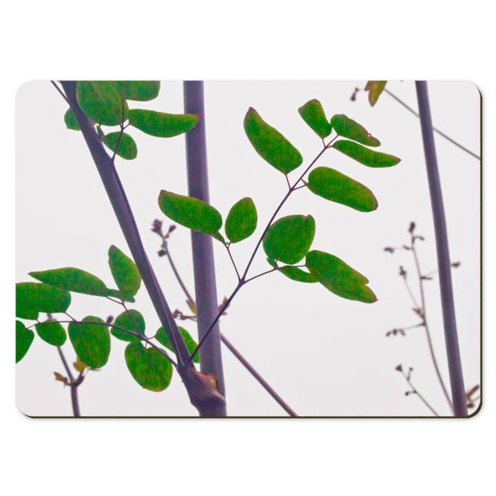 Gregory Dennis Design - Wholesale Placemat - 6 Floral Placemats - Thalictrum3