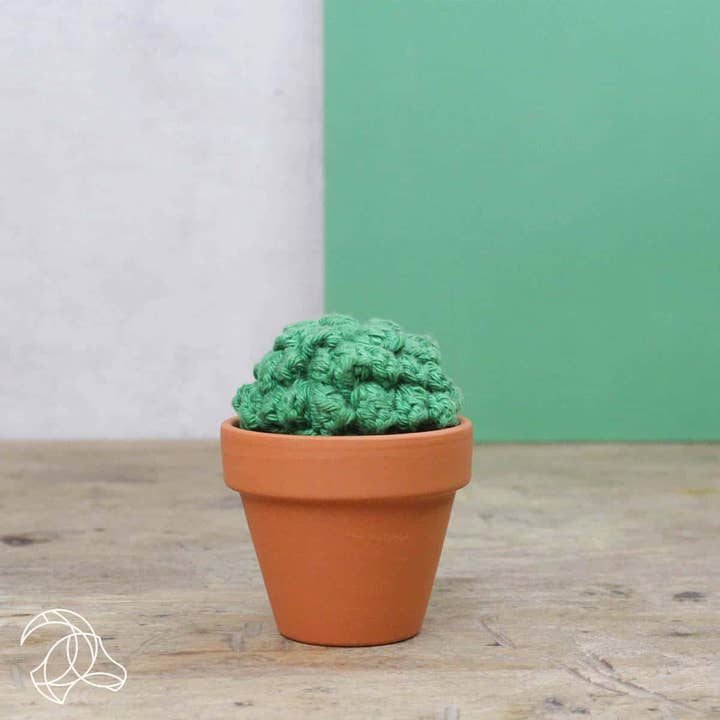 Hardicraft - Wholesale DIY Craft Kit - DIY Crochet Kit - Cacti2