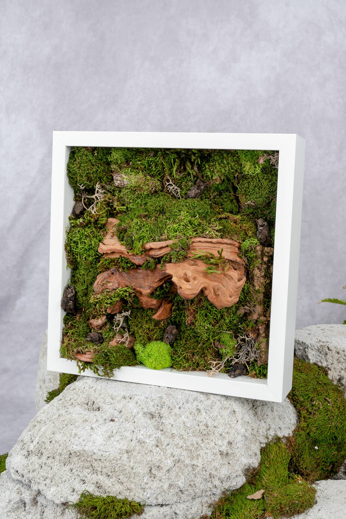 TERRART NYC - Wholesale Wall Planter - Moss Heaven - Moss Wall4