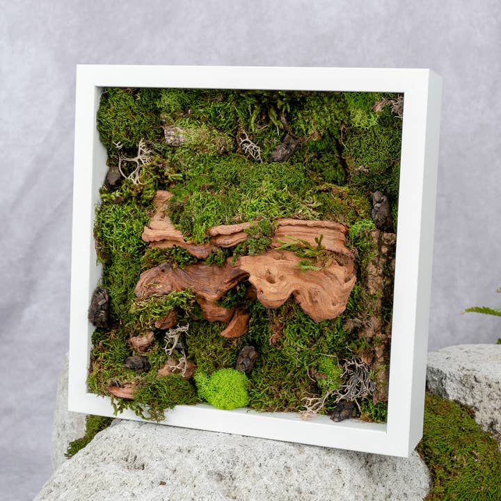 TERRART NYC - Wholesale Wall Planter - Moss Heaven - Moss Wall4