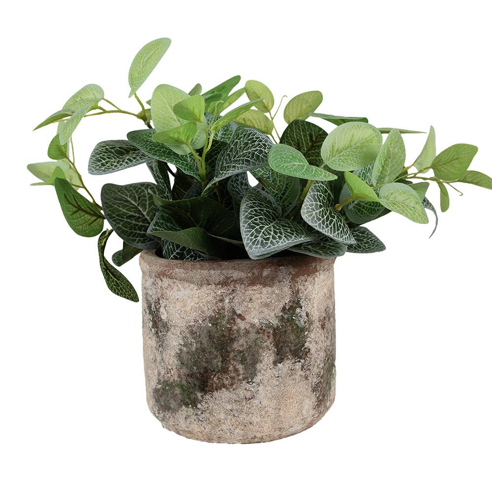 Clayre & Eef – Engroshandel Plantekrukke – 6TE0516M plantepotte Ø 14x12 cm beige grøn terracotta1