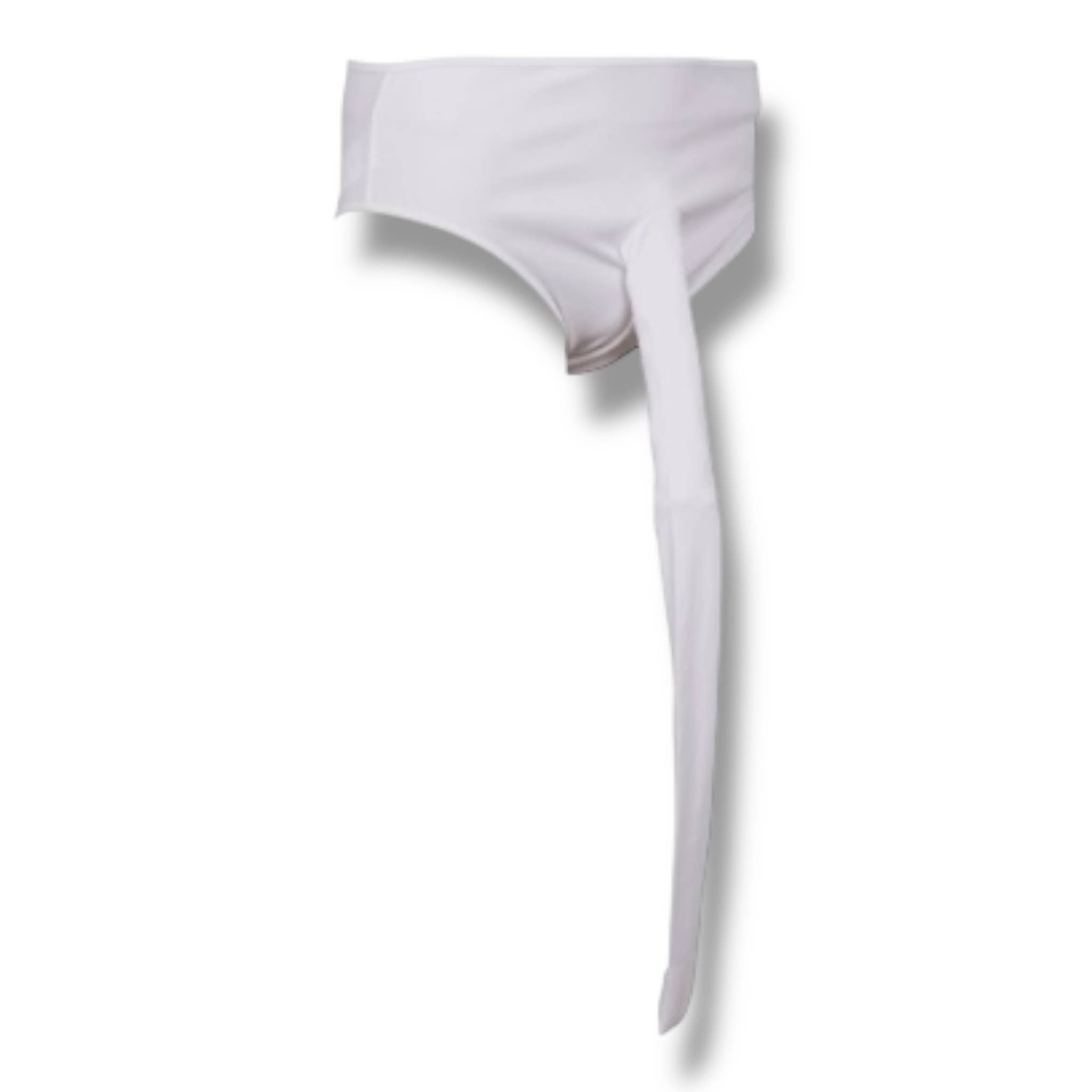 Kinky Pleasure - Wholesale Gag Gift/Novelty Gift - Kinky Pleasure - OB140 - Fake Willy Underpants – One Size – X Material – In Gift Packaging3