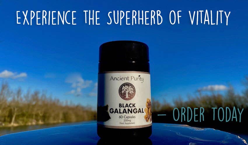 Ancient Purity - Wholesale Oral Supplement/Vitamin - Black Galingale - 60 x 250mg | Black Ginger | Male Libido7