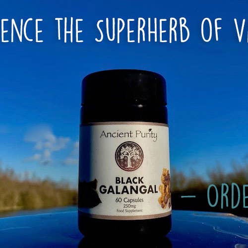 Ancient Purity – Großhandel Nahrungsergänzungsmittel/Vitamin zum Einnehmen – Black Galingale – 60 Kapseln à 250 mg | Schwarzer Ingwer | Männliche Libido7