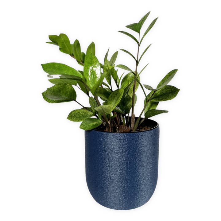 The Oak – 6 Inch Planter for wholesale by Leafprints.3d