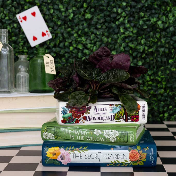Steel Mill and Co. - Wholesale Plant Pot - Stacked Books Planter, Alice/Wind in the Willows/The Secret