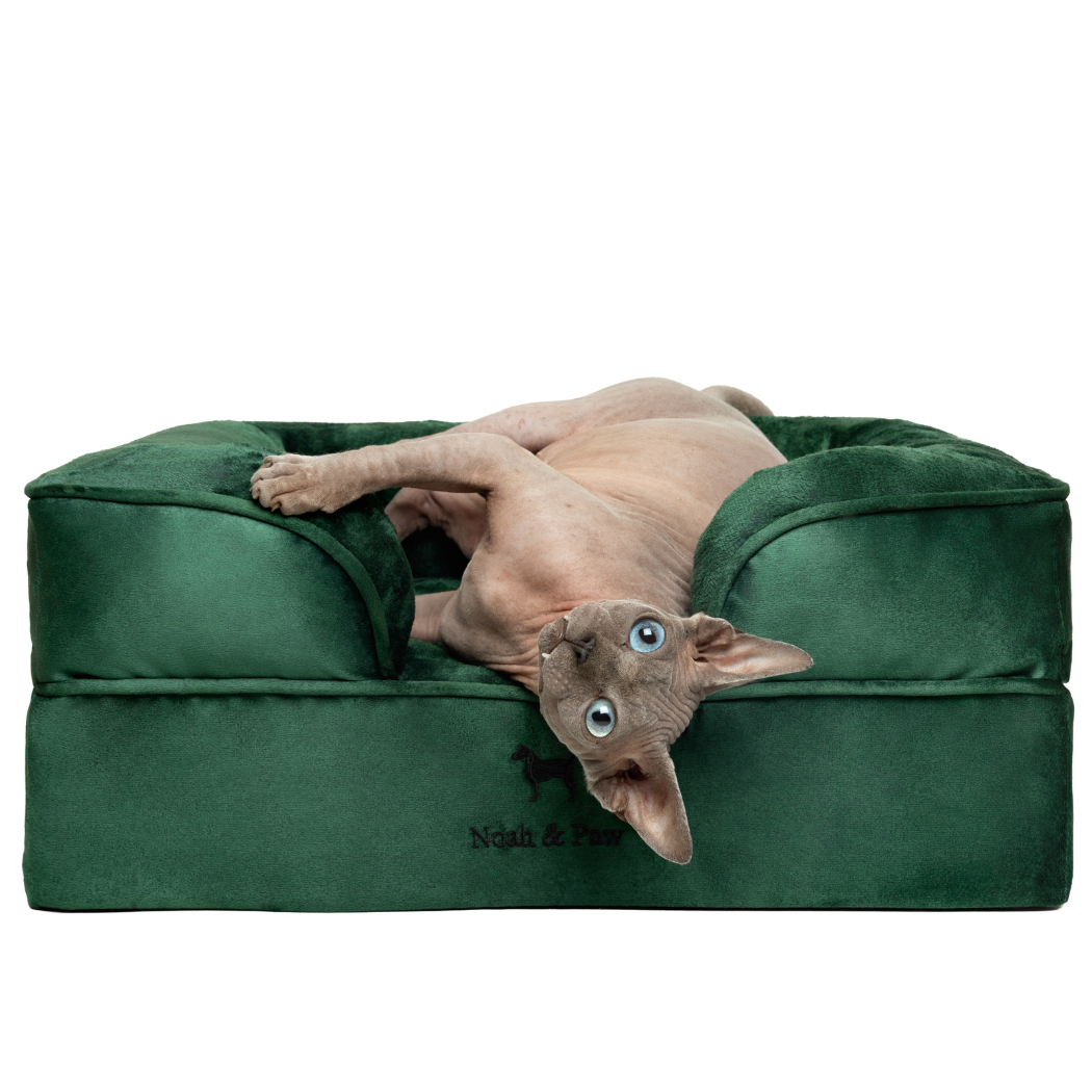 NOAH AND PAW LLC - Wholesale Bed voor huisdieren- Kat/hond - Velvet orthopedisch hondenbed met memoryfoam en verkoelende gel0
