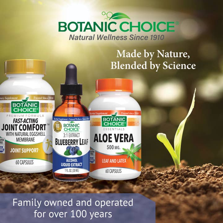 Botanic Choice - Wholesale Essential Oil - Botanic Choice Blueberry Leaf Liquid Extract - 1 oz5