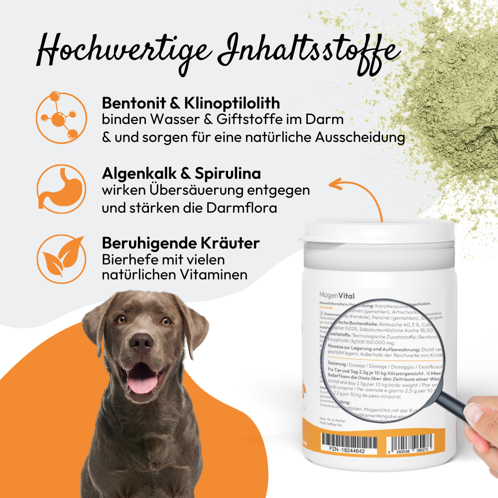 Kauartikel.com GmbH - Wholesale Pet Supplement - Dog - PHA MagenVital for dogs 200g2