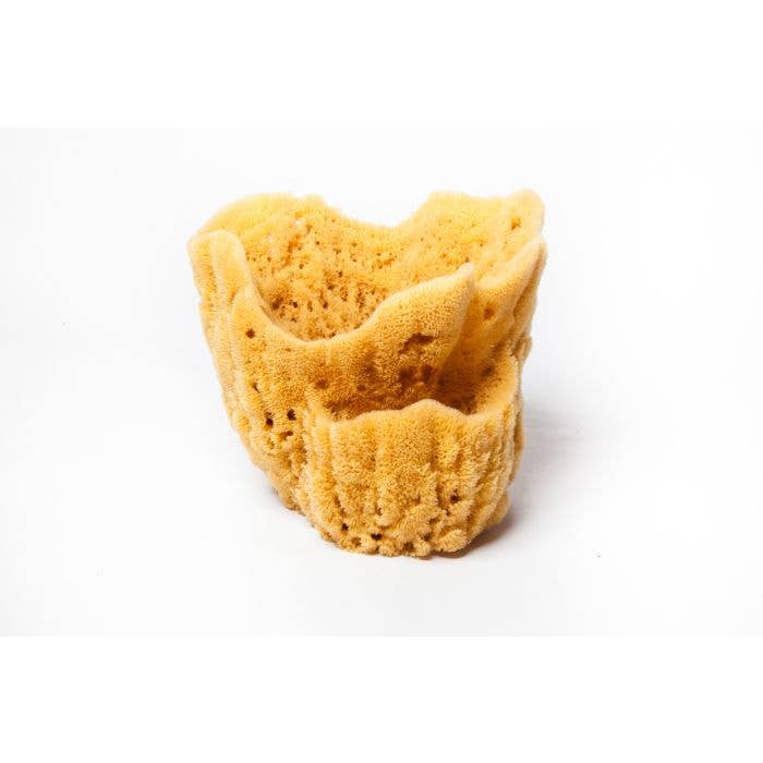 Sponges Direct - Wholesale Bath Pouf/Sponge - Vase Sponges2