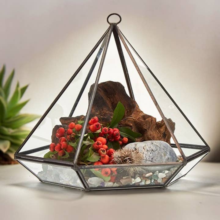 AW Artisan - Wholesale Terrarium - Glass Terrariums - Large Diamond