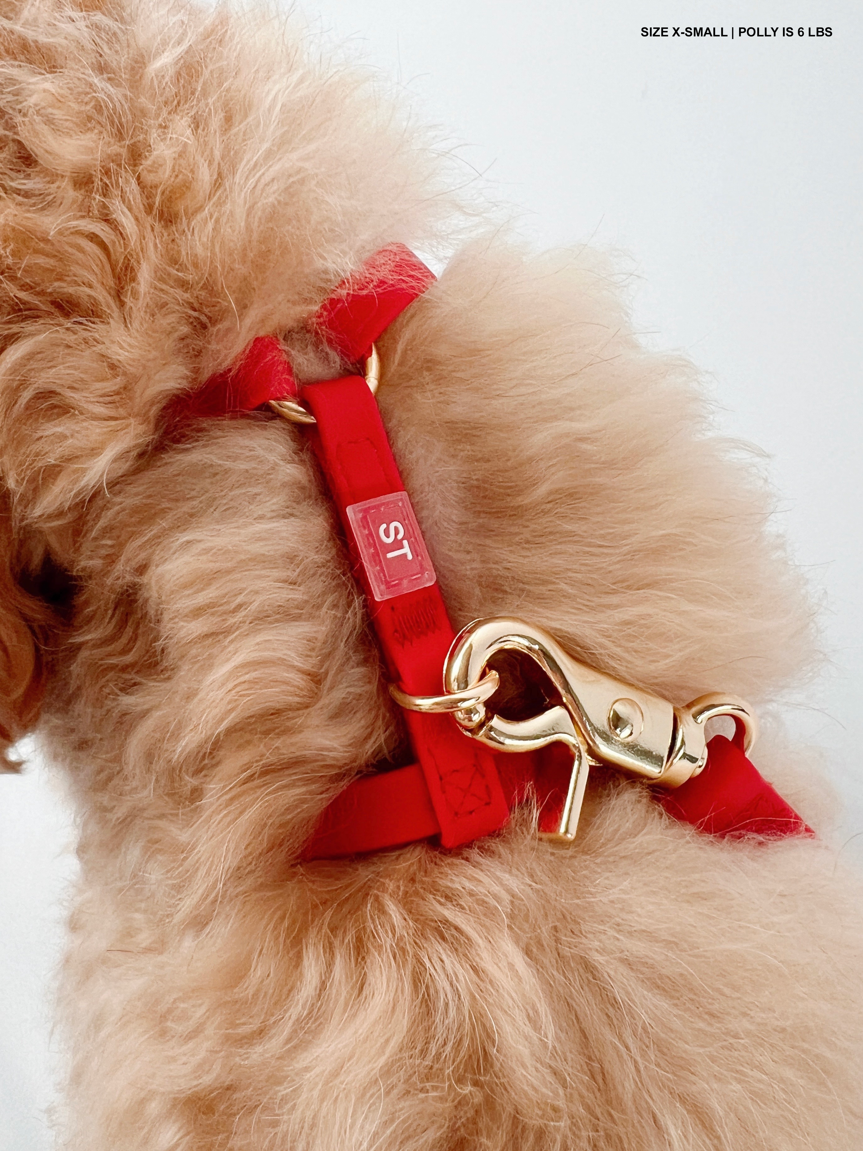SUNNY TAILS - Wholesale Pet Harness - Dog - Cherry Red Cloud Lite Dog Harness17