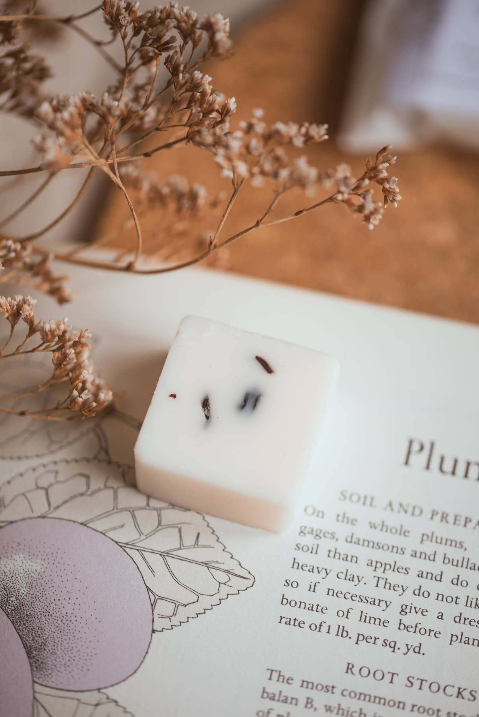 Meleri and Maple Co – wholesale Retailer sample – Home decor – Individual Wax Melt Samples4